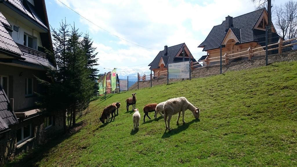 Willa Skorusyna Acomodação com café da manhã Gliczarów Exterior foto